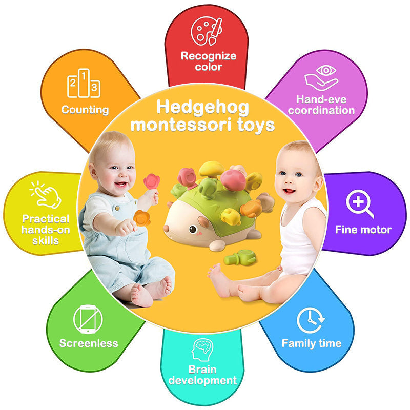 Montessori Sensorial Hedgehog